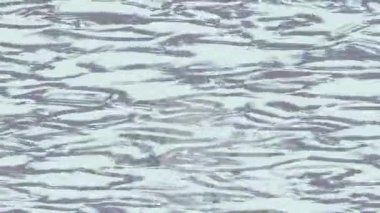 Benzersiz dijital hareket grafiklerine sahip yaratıcı sinematik projeler için yumuşak animasyon yüzeyi