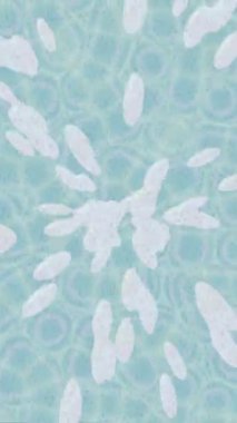 Yaratıcı video düzenleme film tasarımı için benzersiz hareket grafikleri biçimi giriş hareketi video pro