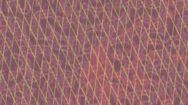 Benzersiz video giriş tasarımı projeleri için detaylı yüzey kalıbı film animasyon stili grafik girişi