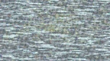 Dijital doku yüzey tasarım biçimi ile modern video animasyonu için gelişmiş hareket grafikleri