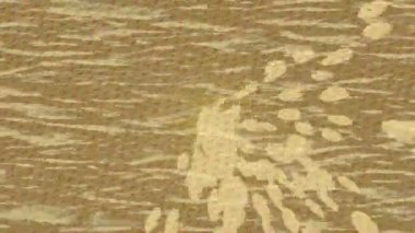 Yaratıcı video düzenleme film tasarımı için benzersiz hareket grafikleri biçimi giriş hareketi video pro