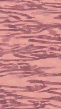 Yaratıcı video düzenleme film tasarımı için benzersiz hareket grafikleri biçimi giriş hareketi video pro