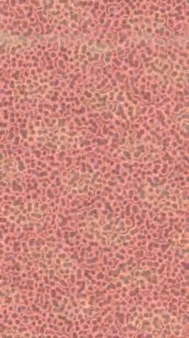 Yaratıcı video düzenleme film tasarımı için benzersiz hareket grafikleri biçimi giriş hareketi video pro