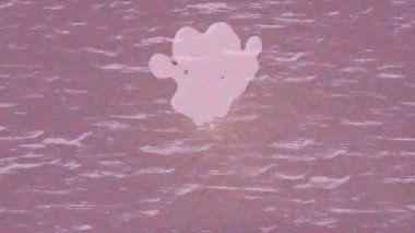 Yaratıcı video düzenleme film arkaplan tasarımı için minimalist organik hareket grafikleri