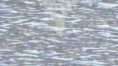 Organik desenli yüzey giriş stili video film sanatı ile soyut arkaplan tasarımı