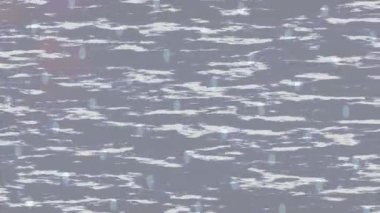 Yaratıcı video düzenleme film arkaplan tasarımı için minimalist organik hareket grafikleri