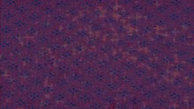 Profesyonel video projeleri sanat tarzı için organik hareketli arkaplan tasarımı