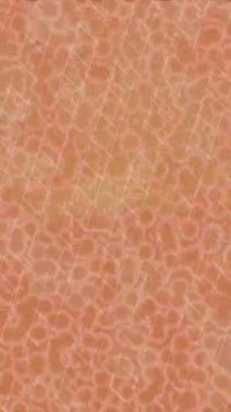 Benzersiz video giriş tasarımı projeleri için detaylı yüzey kalıbı film animasyon stili grafik girişi