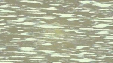 Benzersiz dijital animasyon tarzı grafikleri olan yaratıcı ortam tasarımı için yenilikçi hareket dokusu