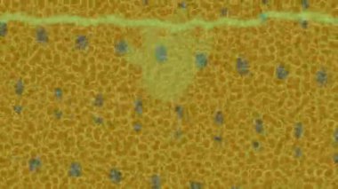 Yaratıcı video düzenleme film tasarımı için benzersiz hareket grafikleri biçimi giriş hareketi video pro