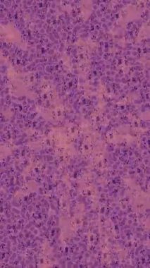 Organik desenli yüzey giriş stili video film sanatı ile soyut arkaplan tasarımı