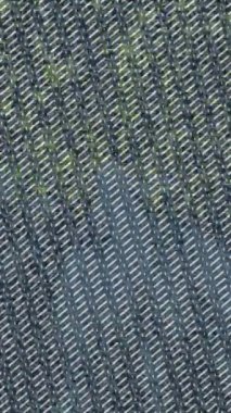 Lüks hareket tasarımı üst düzey video projeleri ve dijital sanat için zarif, pürüzsüz bir dokusu var.