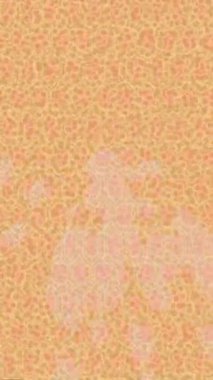 Benzersiz dijital hareket grafiklerine sahip yaratıcı sinematik projeler için yumuşak animasyon yüzeyi