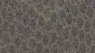 Benzersiz dijital hareket grafiklerine sahip yaratıcı sinematik projeler için yumuşak animasyon yüzeyi