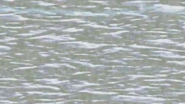 Benzersiz dijital animasyon tarzı grafikleri olan yaratıcı ortam tasarımı için yenilikçi hareket dokusu