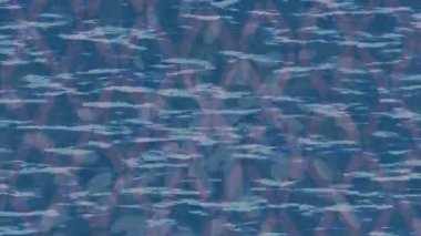 Benzersiz dijital hareket grafiklerine sahip yaratıcı sinematik projeler için yumuşak animasyon yüzeyi