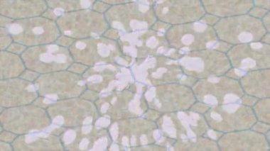 Dijital doku yüzey tasarım biçimi ile modern video animasyonu için gelişmiş hareket grafikleri