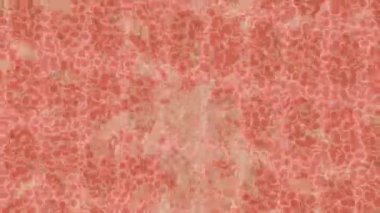 Benzersiz video giriş tasarımı projeleri için detaylı yüzey kalıbı film animasyon stili grafik girişi