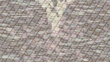 Dijital doku yüzey tasarım biçimi ile modern video animasyonu için gelişmiş hareket grafikleri