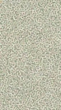 Yaratıcı video düzenleme film arkaplan tasarımı için minimalist organik hareket grafikleri