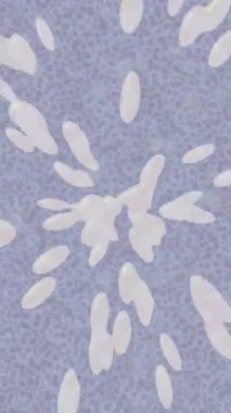 Benzersiz hareket dokusu tasarım sanatı ile profesyonel video düzenleme için modern soyut grafikler