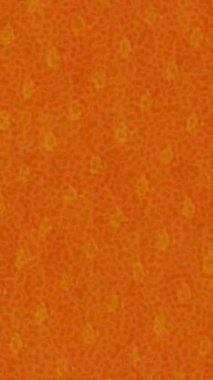 Yaratıcı video düzenleme film arkaplan tasarımı için minimalist organik hareket grafikleri