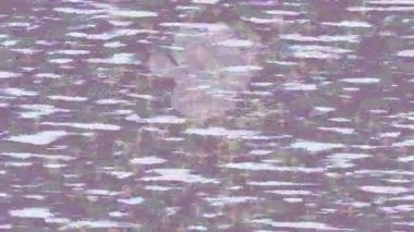 Benzersiz dijital animasyon tarzı grafikleri olan yaratıcı ortam tasarımı için yenilikçi hareket dokusu