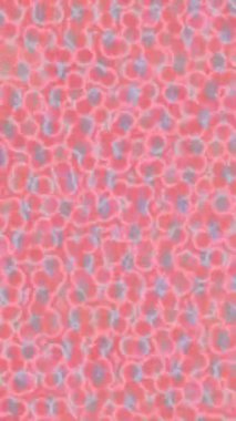 Benzersiz hareket grafikleri tasarım sanatına sahip yaratıcı film üretimi için özet bir arkaplan