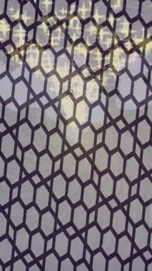 Benzersiz dijital hareket grafiklerine sahip yaratıcı sinematik projeler için yumuşak animasyon yüzeyi