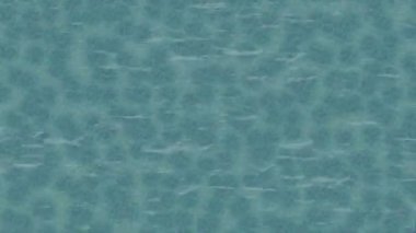 Benzersiz hareket dokusu tasarım sanatı ile profesyonel video düzenleme için modern soyut grafikler