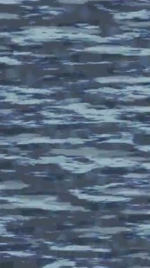 Estetik doku arkaplan tasarımı renkli hareket grafikleri ile moda film giriş profosyoneli