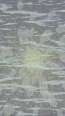 Profesyonel video projeleri sanat tarzı için organik hareketli arkaplan tasarımı