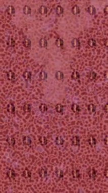 Benzersiz hareket grafikleri tasarım sanatına sahip yaratıcı film üretimi için özet bir arkaplan