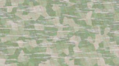 Profesyonel video projeleri sanat tarzı için organik hareketli arkaplan tasarımı