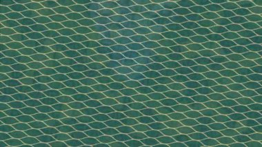 Profesyonel video projeleri sanat tarzı için organik hareketli arkaplan tasarımı