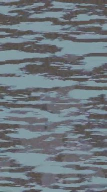 Organik desenli yüzey giriş stili video film sanatı ile soyut arkaplan tasarımı