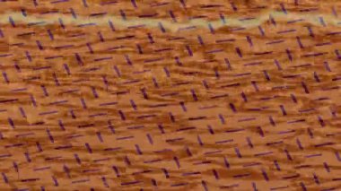 Estetik doku arkaplan tasarımı renkli hareket grafikleri ile moda film giriş profosyoneli