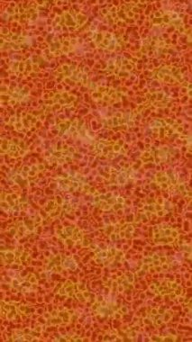 Yaratıcı video düzenleme film arkaplan tasarımı için minimalist organik hareket grafikleri