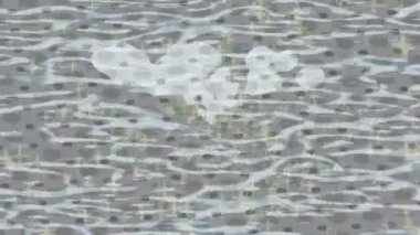 Yaratıcı video düzenleme film tasarımı için benzersiz hareket grafikleri biçimi giriş hareketi video pro