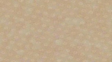 Benzersiz video giriş tasarımı projeleri için detaylı yüzey kalıbı film animasyon stili grafik girişi