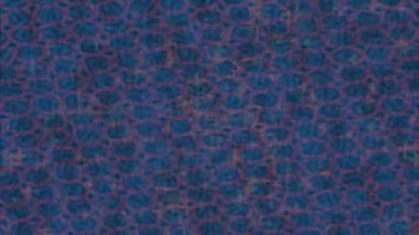 Benzersiz hareket dokusu tasarım sanatı ile profesyonel video düzenleme için modern soyut grafikler