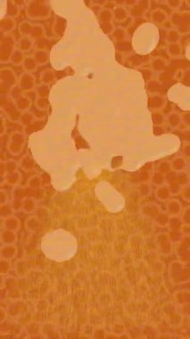 Benzersiz hareket dokusu tasarım sanatı ile profesyonel video düzenleme için modern soyut grafikler