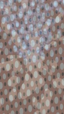 Benzersiz dijital hareket grafiklerine sahip yaratıcı sinematik projeler için yumuşak animasyon yüzeyi