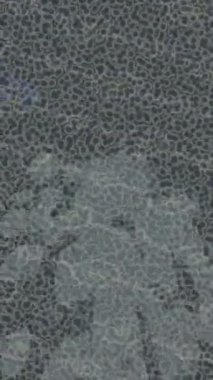 Lüks hareket tasarımı üst düzey video projeleri ve dijital sanat için zarif, pürüzsüz bir dokusu var.