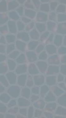 Benzersiz dijital hareket grafiklerine sahip yaratıcı sinematik projeler için yumuşak animasyon yüzeyi