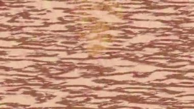 Benzersiz dijital hareket grafiklerine sahip yaratıcı sinematik projeler için yumuşak animasyon yüzeyi