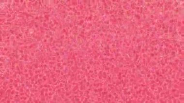 Estetik doku arkaplan tasarımı renkli hareket grafikleri ile moda film giriş profosyoneli