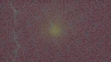 Profesyonel video projeleri sanat tarzı için organik hareketli arkaplan tasarımı