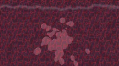 Benzersiz hareket grafikleri tasarım sanatına sahip yaratıcı film üretimi için özet bir arkaplan