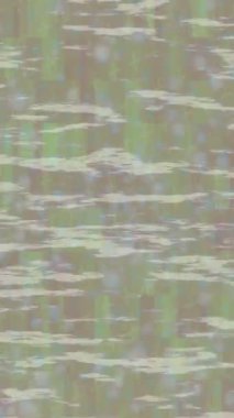 Estetik doku arkaplan tasarımı renkli hareket grafikleri ile moda film giriş profosyoneli